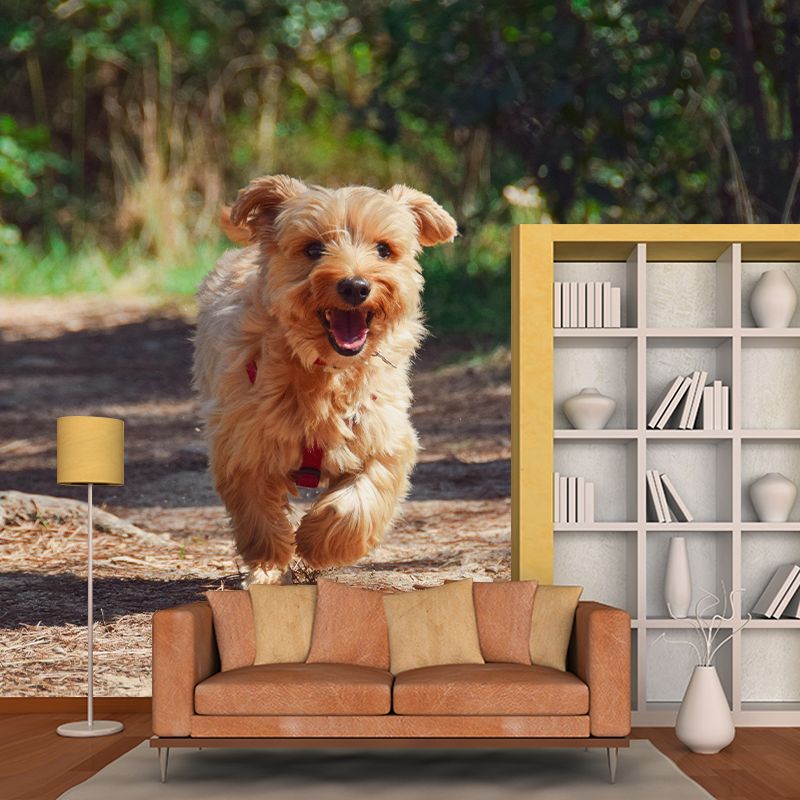 Horizontal Photography Yorkshire Terrier Mural Stain Resistant Wall Art for Bedroom