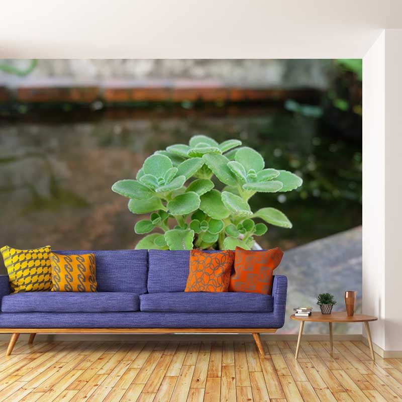 Green Plant Wall Mural for Study Room Home Decor, Personalized Size Available