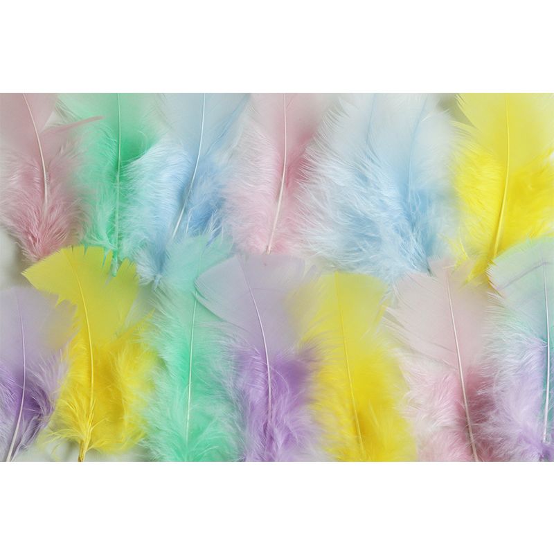 Beautiful Feather Mural Wallpaper Mildew Resistant Children's Room Mural Wall Art