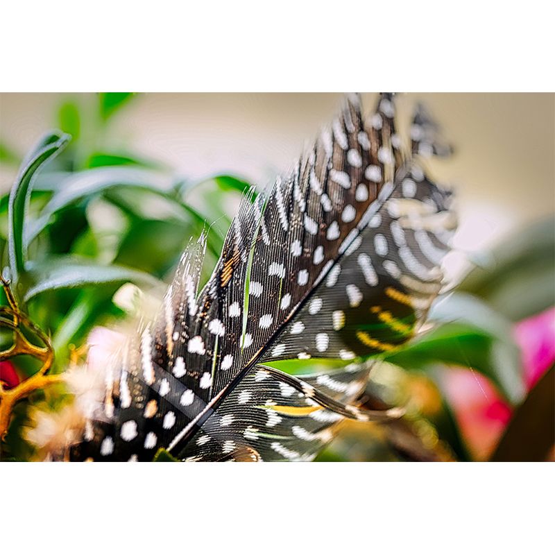 Light Feathers Wall Paper Murals for Girls' Bedroom, Personalized Size Available