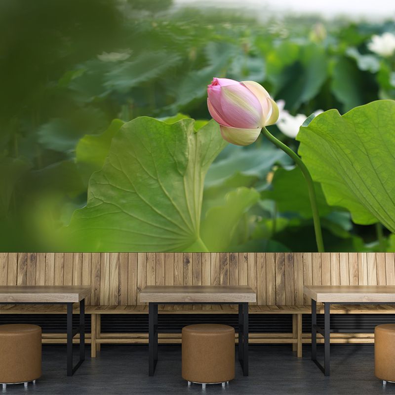 Lotus Leaf and Lotus Mural Wallpaper Stain-Resistant Wall Decor for Guest Room