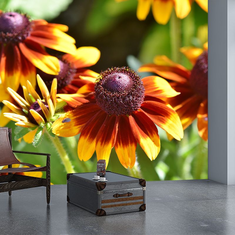 Cone Flower Blooming Mural Contemporary Photography for Living Room Decoration