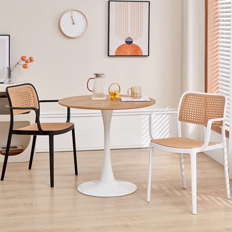 Stacking Outdoors Dining Chairs Tropical Plastic Patio Dining Chair