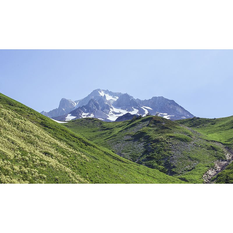 Mountain Photo Wall Mural for Living Room Bedroom Wall Decor, Made to Measure