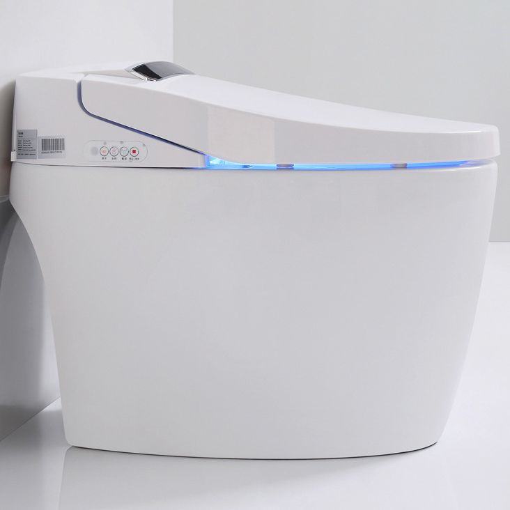 Modern One Piece Toilet Concealed Tank Toilet Bowl with Slow Close Seat for Washroom