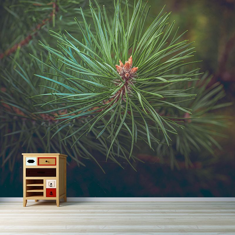 Photography Plant Mural Wallpaper Pine Leaves for Reading Room Bedroom Home Decor