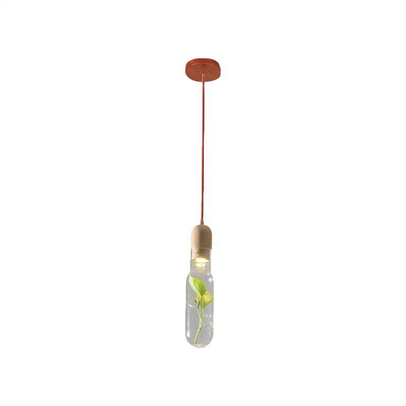 1-Head Ceiling Pendant Factory Bottle Clear Glass LED Pendulum Light with Inner Plant Deco