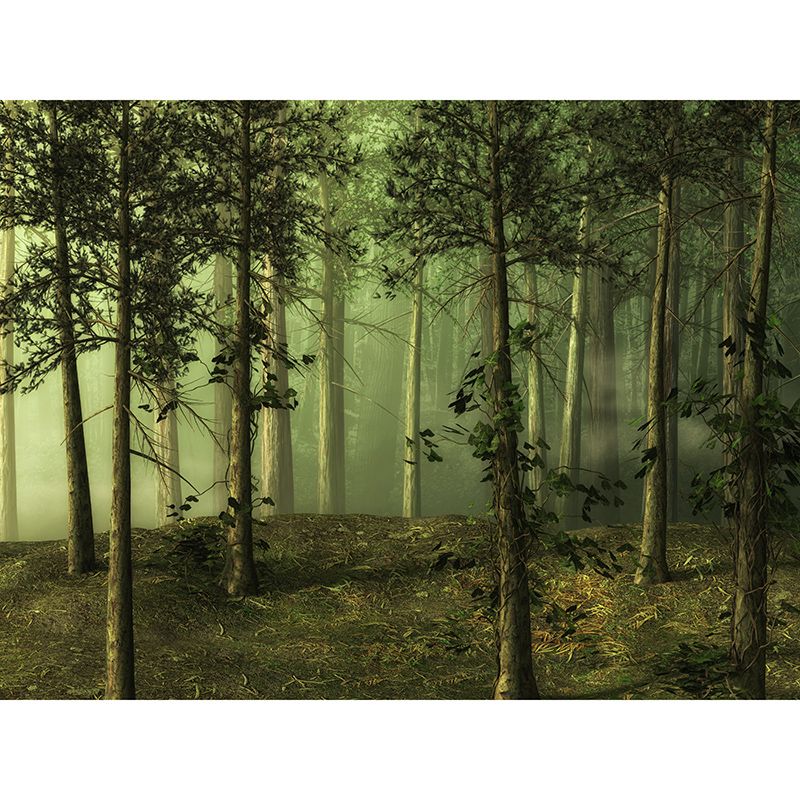 Modern Style Wall Mural Wallpaper Forest Sitting Room Wall Mural