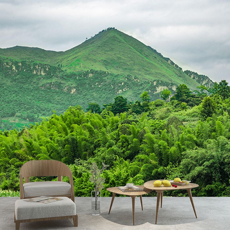 Mountain Scene Contemporary Mural Horizontal Photography Room Wall Mural