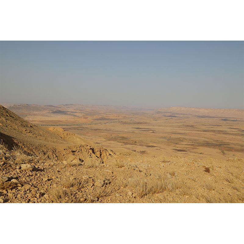 Customized Photography Desert Wall Mural Contemporary for Bathroom Living Room