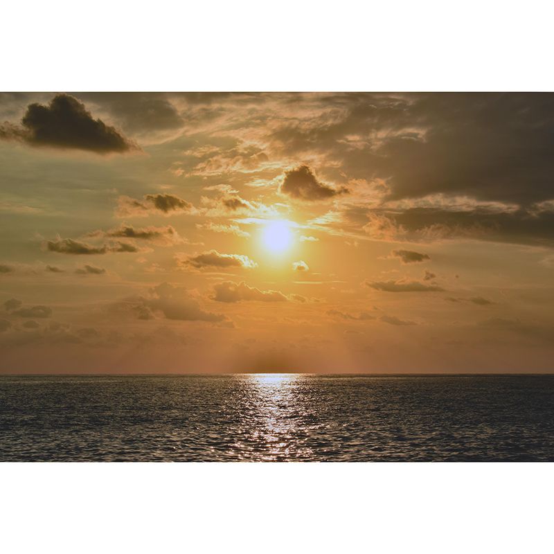 Sunset Landscapes Mildew Resistant Wall Mural Wallpaper Pattern for Home Decor