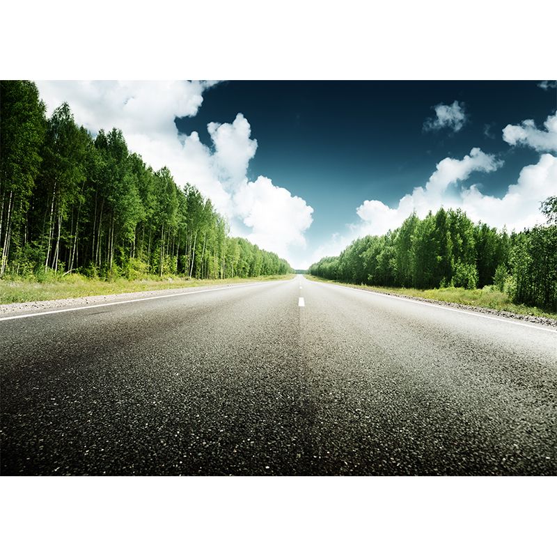 Highway Scene Mural Wallpaper Modern Non-Woven Cloth Wall Covering in Soft Color