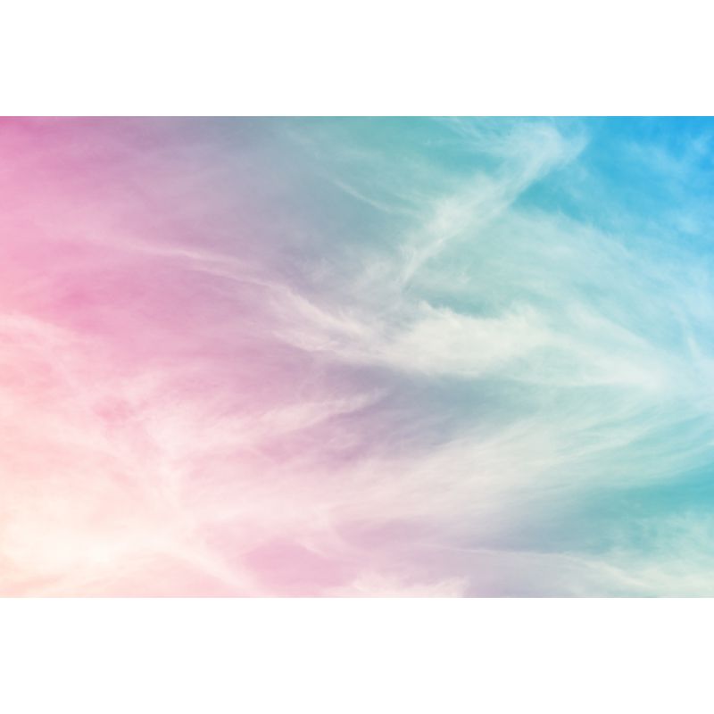 Pink Sky Painting Wall Mural Decal Moisture-Resistant Wall Covering for Living Room