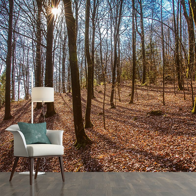 Living Room Contemporary Photography Forest Wall Mural Wallpaper Wall Covering