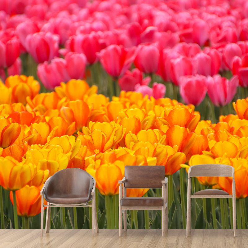 Photography Wall Mural Wallpaper Plant Living Room Wall Mural