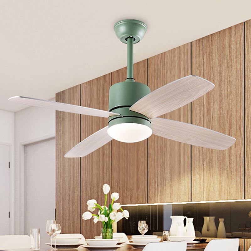 Cylindre Semi Flush Mounted lampe moderne métallique vert / gris / jaune 4 lames LED de ventilateur suspendu léger, 42 "W