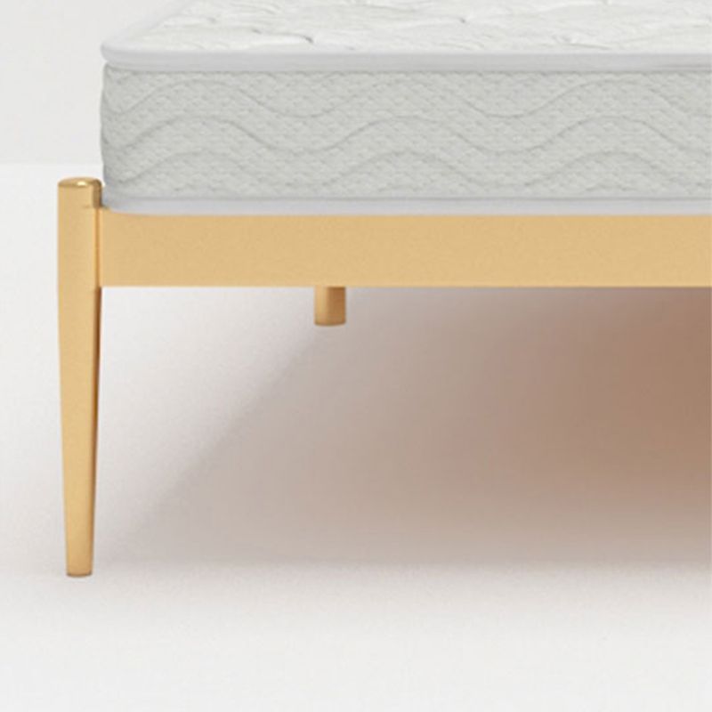 Metal Glam Bed Frame Rectangular Open-Frame Headboard Standard Bed