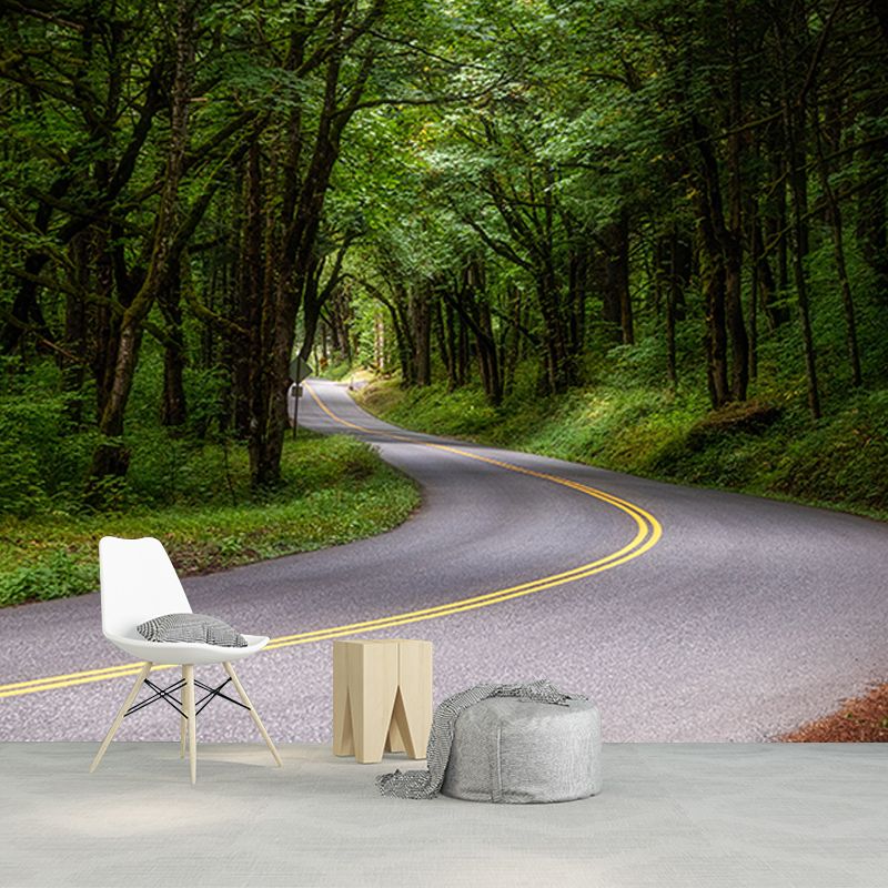 Environmental Photography Mural Wallpaper Outdoor Path Indoor Wall Mural