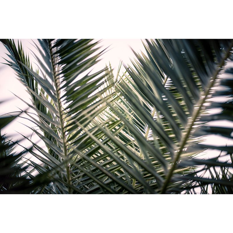 Tropical Plants Environmental Photography Mural Wallpaper Indoor Wall Mural