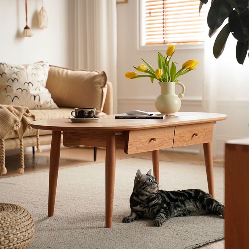 23" Wide Contemporary Cocktail Table Storage Oval Coffee Table