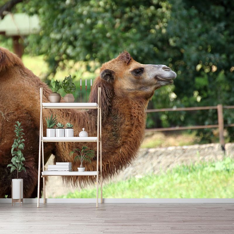 Camel Mural Wallpaper for Home Decor Living Room Bedroom, Made to Measure