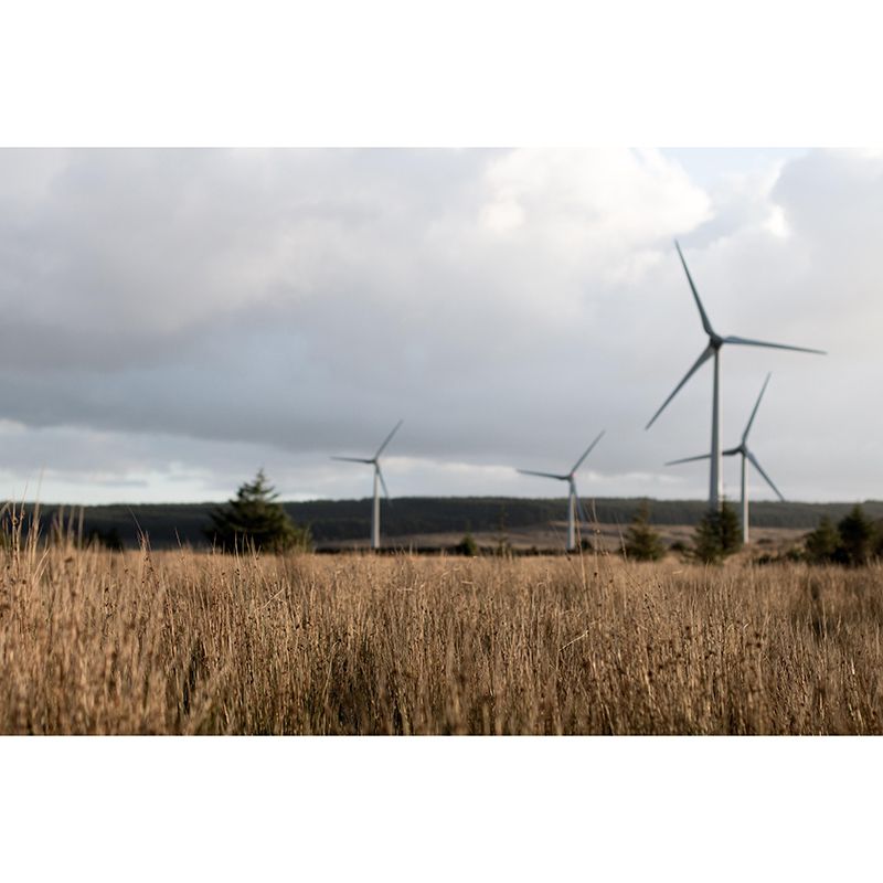 Customized Windmill Mural Wallpaper Small Town Mildew Resistant Wall Decor