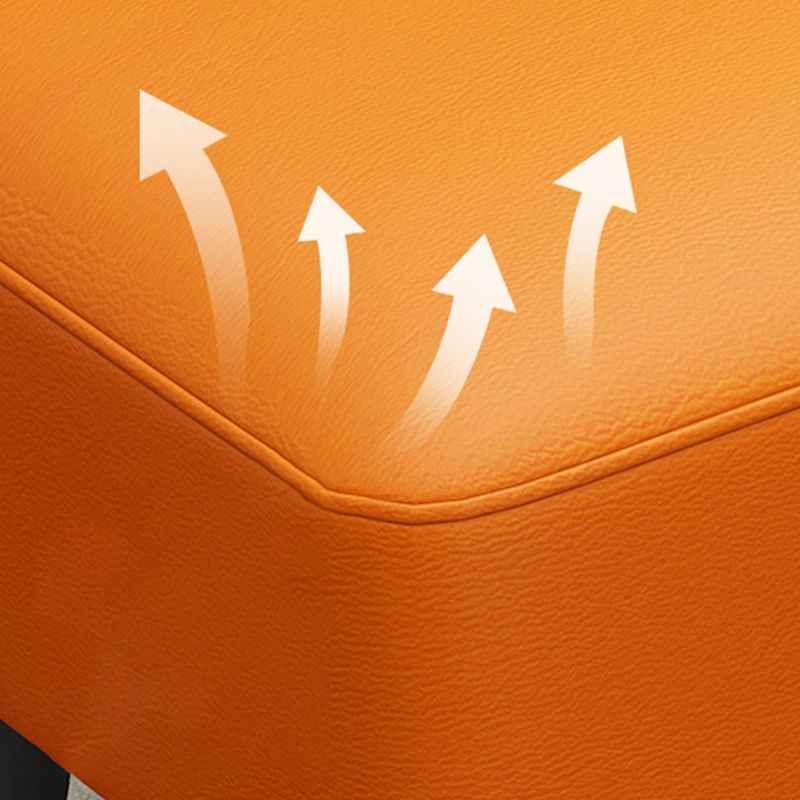 Modern Tear Resistant Standard Solid Color Leather Indoor Standard