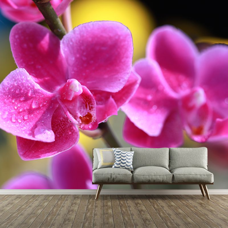 Cymbidium Murals for Sleeping Room Personalized Wall Decor, Moisture Resistant