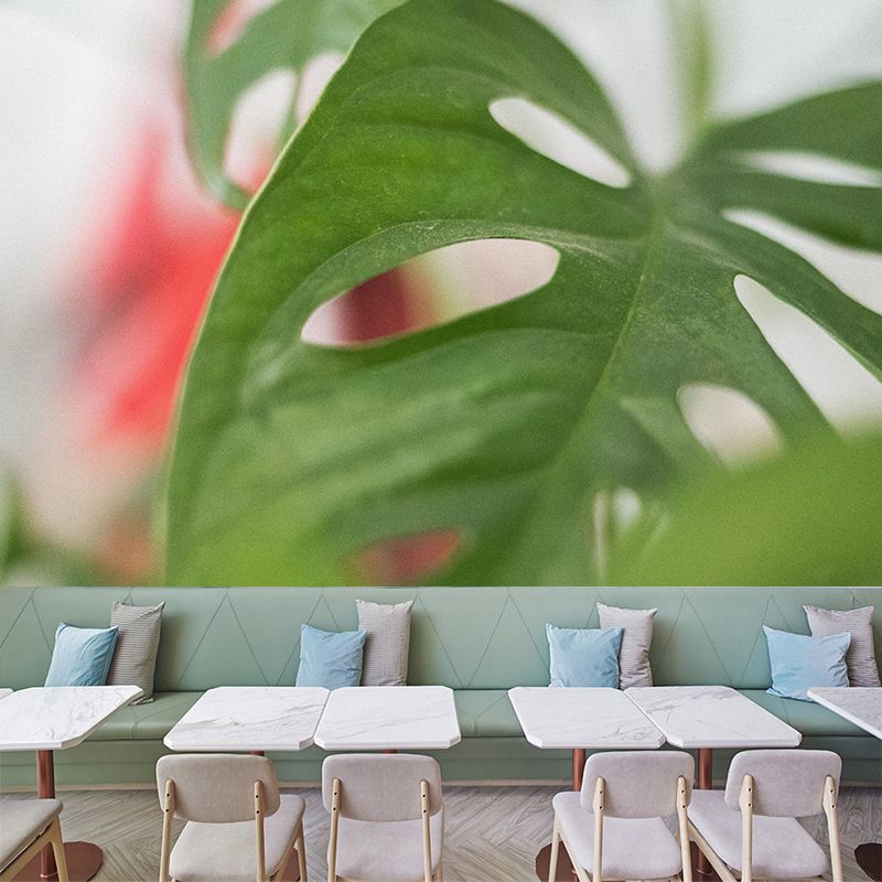 Customized Tropical Monstera Mural Wallpaper Kitchen Murals Backsplash Mildew Resistant