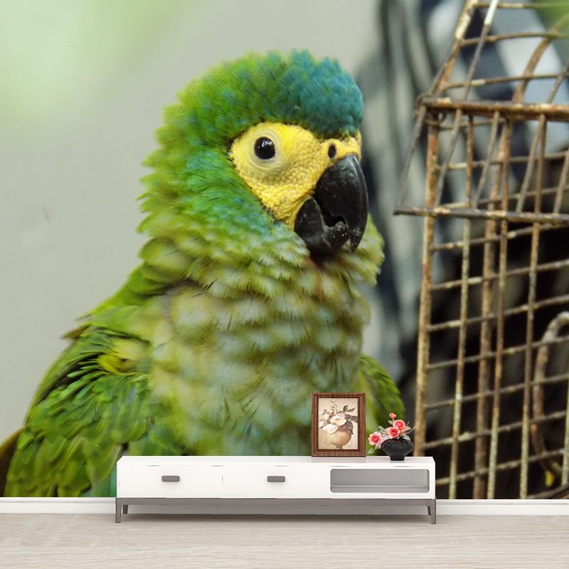 Tropical Cute Parrot Wall Covering for Exhibition Hall Decor, Made to Measure