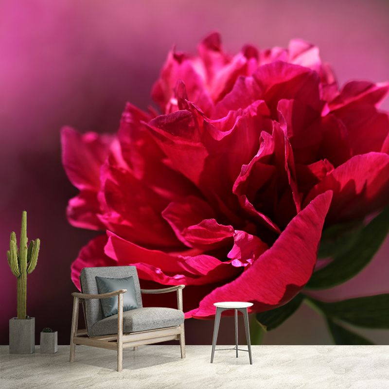 Full Size Photography Modern Mural Decal with Blossoming Peony for Living Room