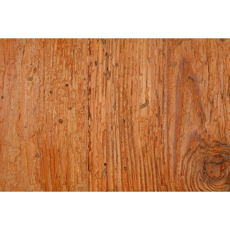 Horizontal Photography Wood Texture Mural Industrial Style for Sleeping Room