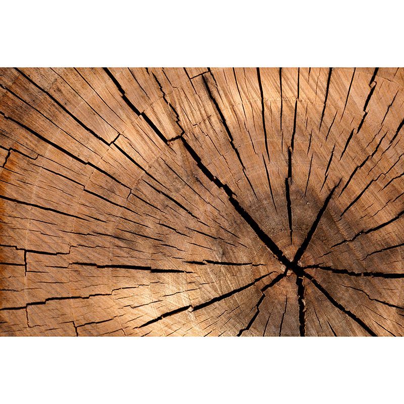 Wood Grain Mildew Resistant Mural Wallpaper Sleeping Room Wall Mural