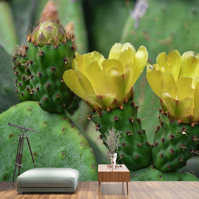 Green Cactus Mural Wallpaper for Reading Room Bedroom, Moisture Resistant