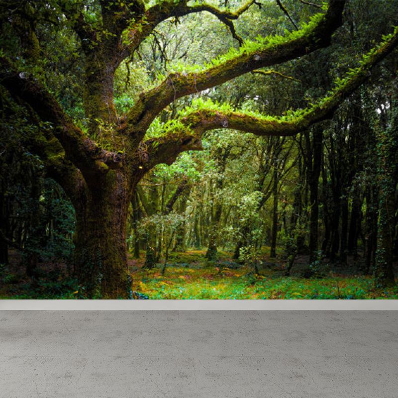 Extra Large Forest Trees Mural Green Non-Woven Wall Art for Indoor Decor, Custom Printed