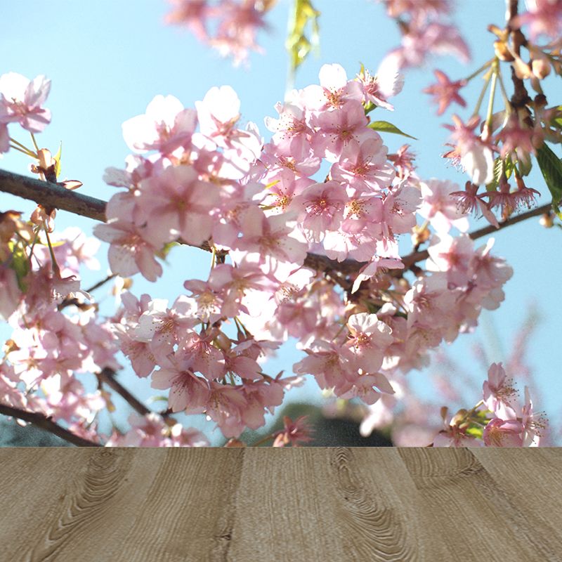 Photograph Style Cherry Blossom Mural Giant Wall Covering for Dining Room, Custom