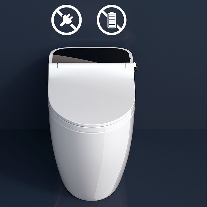 Contemporary Flush Toilet Floor Mounted One-Piece Toilet Porcelain Toilet Bowl