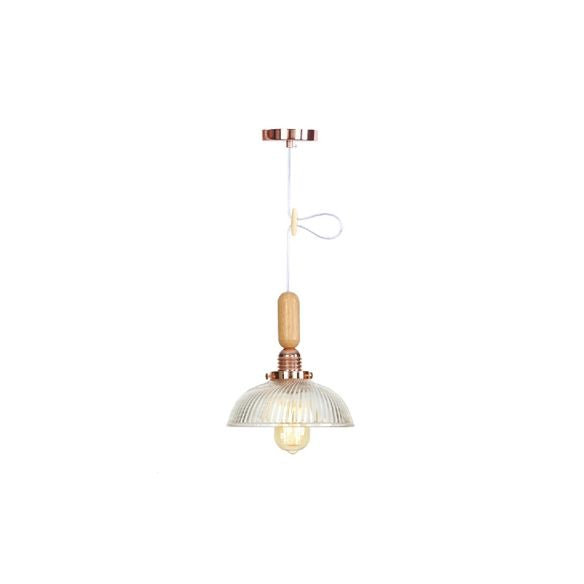 Globe/Cone/Small Bell Pendant Lighting Vintage Clear Glass 1 Licht Roségoud/Chrome hangende lamp met verstelbaar koord