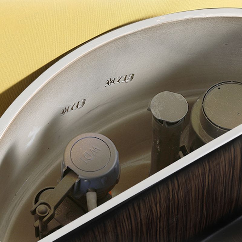 Contemporary Skirted Siphon Jet Toilet Bowl One Piece Urine Toilet with Seat