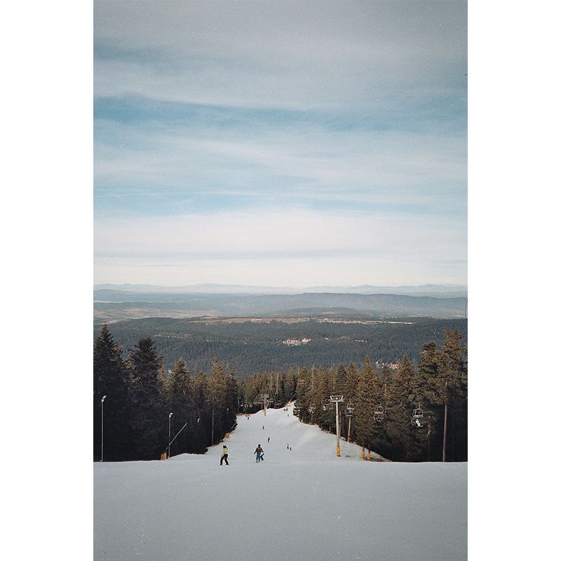 Blue Modernist Wall Mural Decal Huge Snow Ramp with Roadside Pine Trees Wall Art for Bedroom