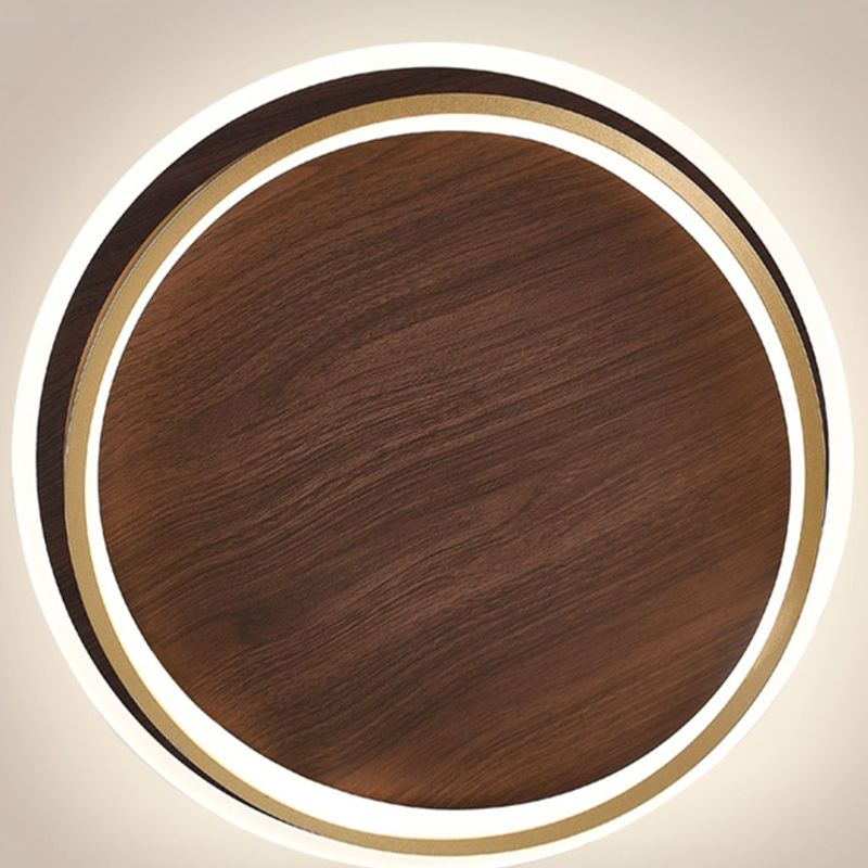 LED Modern Metal Flush Mount Oval Shape Ceiling Light with Acrylic Shade for Passage