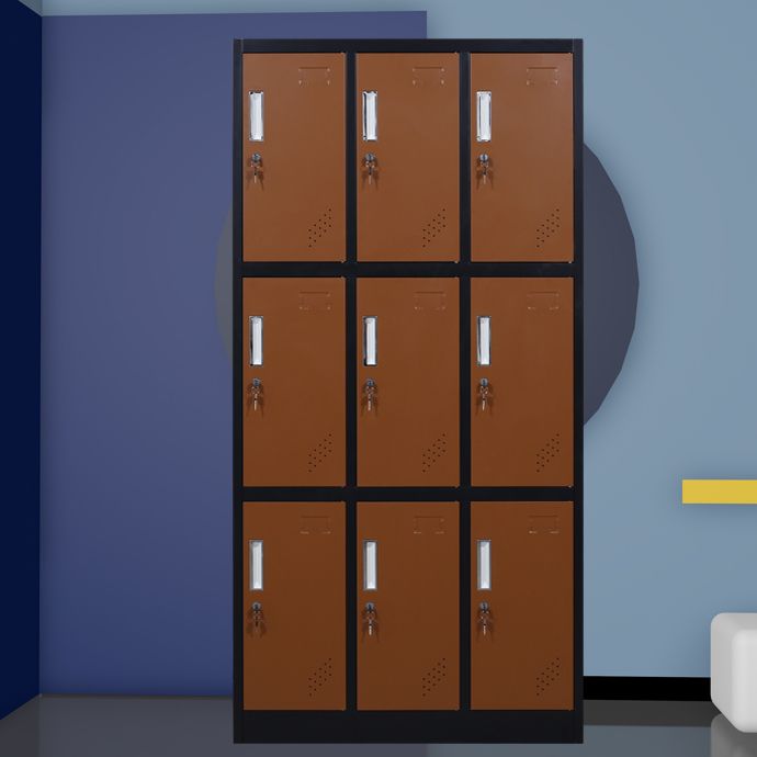 Matte Finish Cabinet with Metal Door Modern Hinged Door Wardrobe