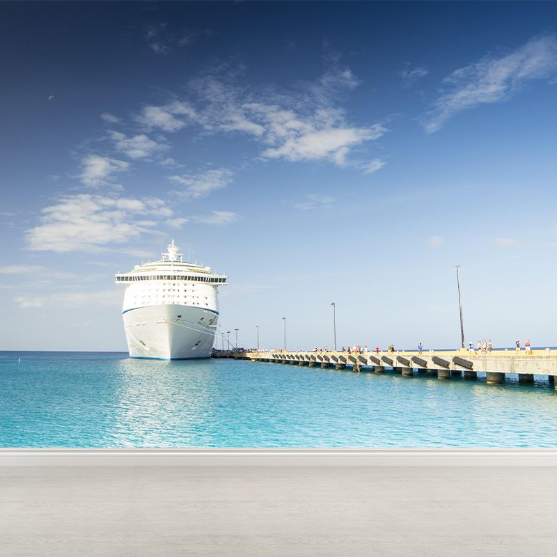 Cruise-Ship Mural Decal Customized Contemporary Wall Covering for Meeting Room