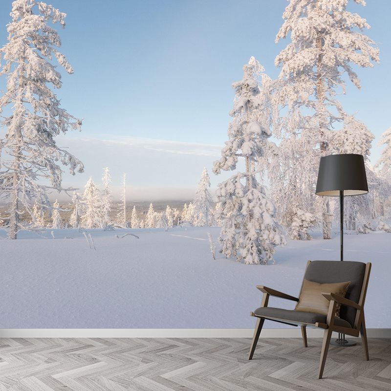 Contemporary Photography Style Forest Mural Wallpaper Mildew Resistant for Home