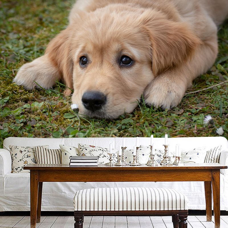Environment Friendly Mural with Dog Painting Mildew Resistant Wallpaper Home Decor
