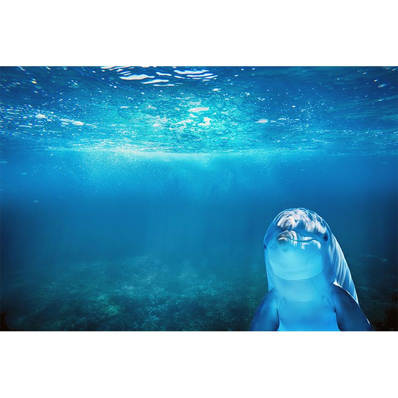 Photography Lovely Dolphins Mural Wallpaper Contemporary Wall Covering for Home Decoration