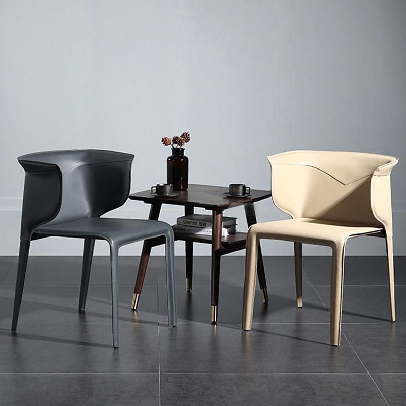 Metal Contemporary Indoor Chair with Leather Legs Matte Finish Side Chair for Dining Room
