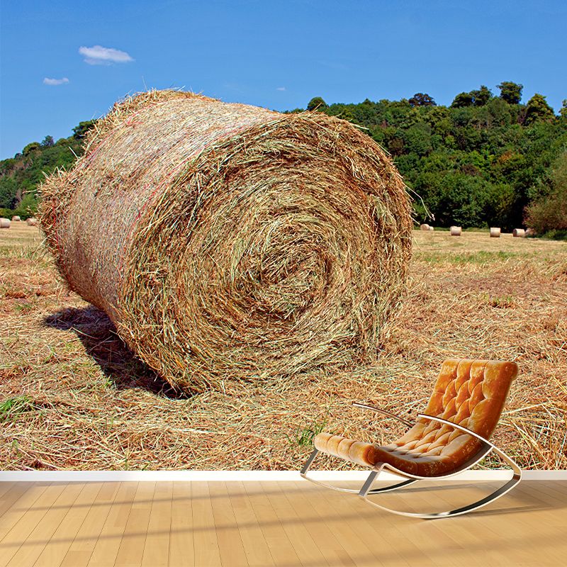 Moisture Resistant Straw Bales Mural Wall Covering for Kitchen Wall Decor