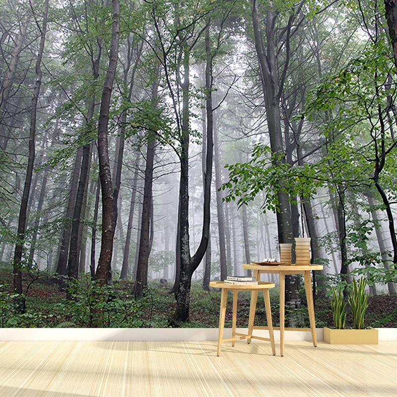Green Forest Mural Wallpaper Water Resistant Wall Covering for Reading Room
