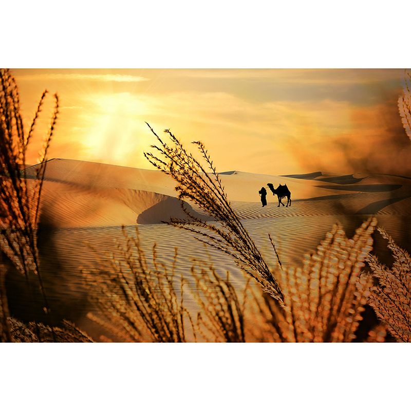 Beautiful Photography Mural Wallpaper Desert Environment Friendly Indoor Wall Mural